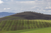 /album/foto-adriano/val-d-orcia-3054-copia-jpg/